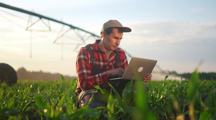 How Much to Budget for 2025 ARC & PLC Payments Paid in 2026?