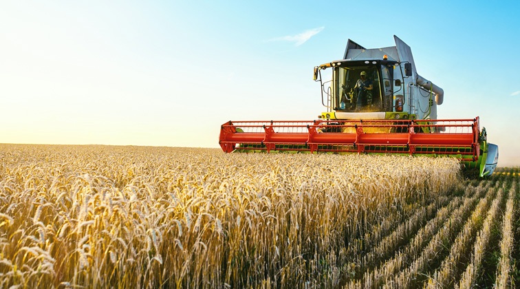 Harvesting Success: Farm Finance Strategies for Every Season